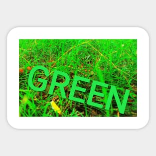 green Sticker